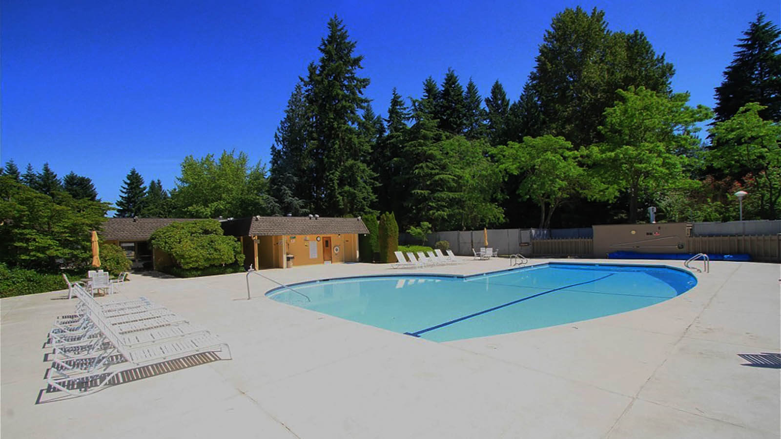 Learn more about Sammamish Forest Manors